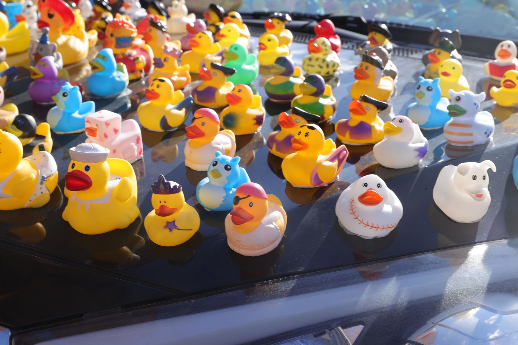 Duck Car